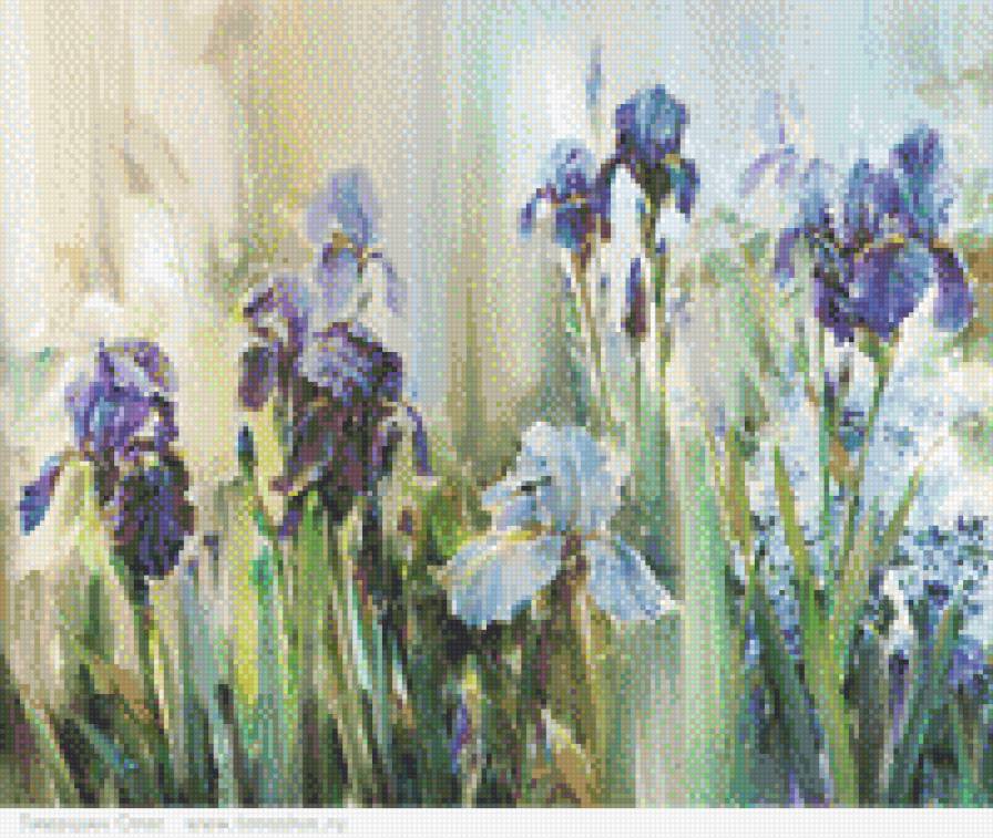 irysy - предпросмотр