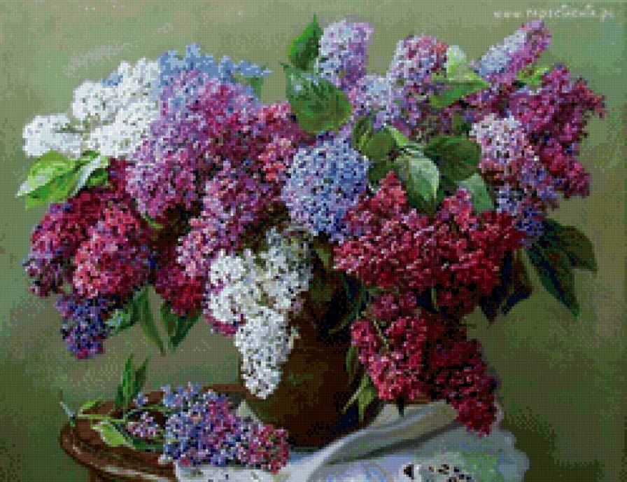 букет сирени - цветы, сирень - предпросмотр