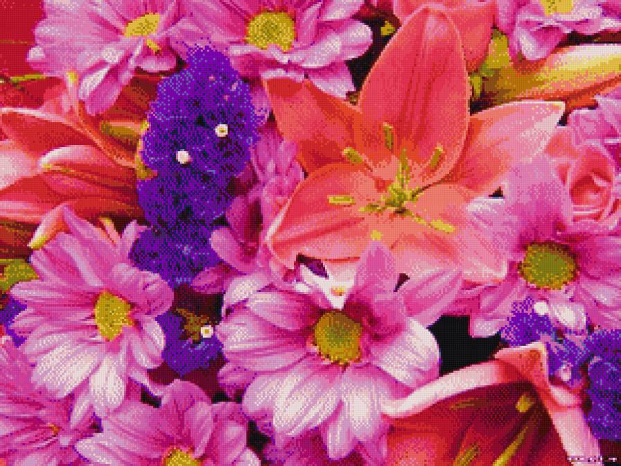 В ярких красках - 50 оттенков розового, цветочки - предпросмотр