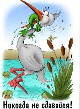 Схема вышивки «Никогда не сдавайся1»