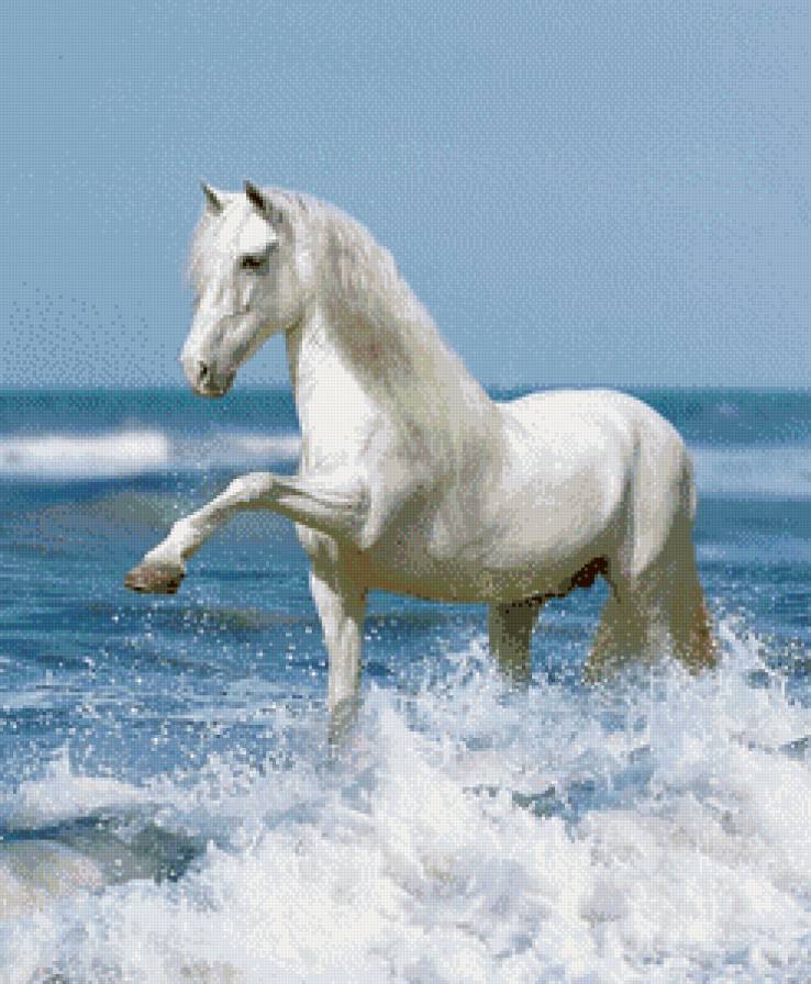 Белая лошадь - вода, бег - предпросмотр