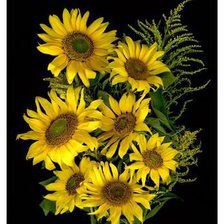 Схема вышивки «подсолнухи»