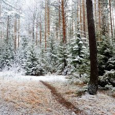 Схема вышивки «начало зимы»