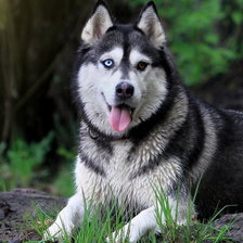 Схема вышивки «№884781»