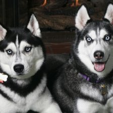 Схема вышивки «№884784»