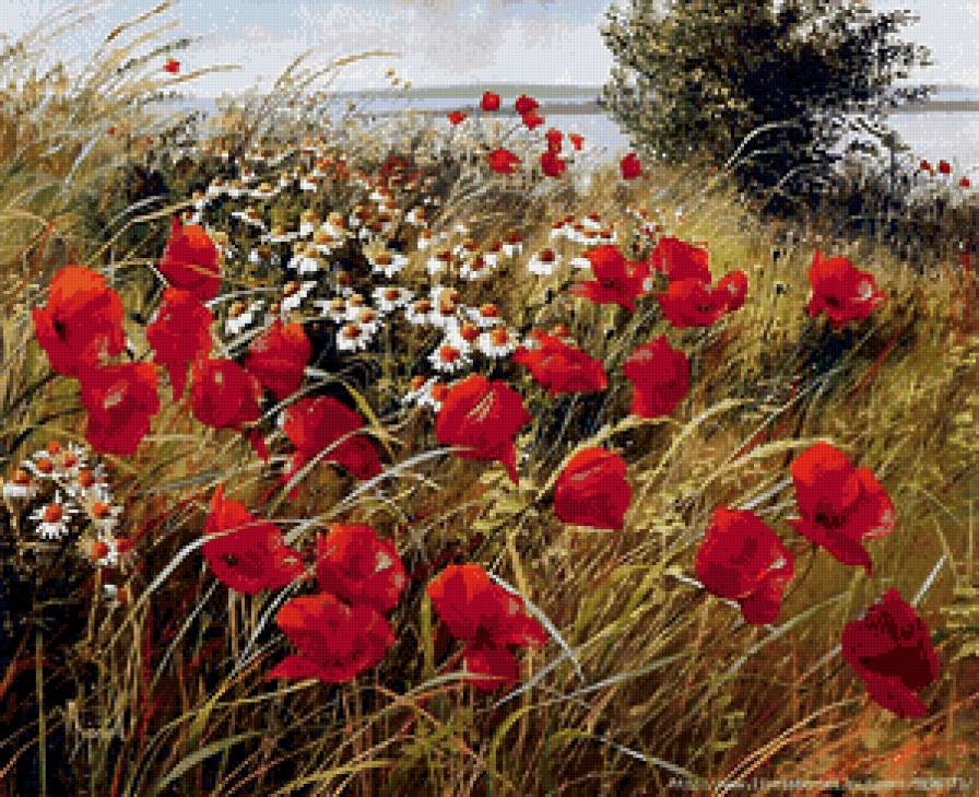 маки с ромашками в поле - маки, пейзаж, ромашки, поле, живопись, цветы, природа - предпросмотр