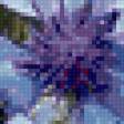 Предпросмотр схемы вышивки «васильки» (№885109)