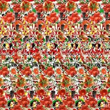 Схема вышивки «3D маки»