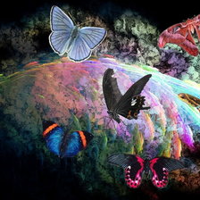 Схема вышивки «бабочки»