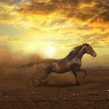 Схема вышивки «лошадь»