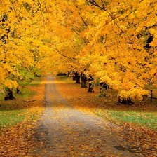 Схема вышивки «осень»