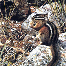 Схема вышивки «Carl Brenders - Chipmunk»