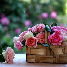 Схема вышивки «розы»