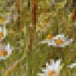 Предпросмотр схемы вышивки «поле» (№885612)