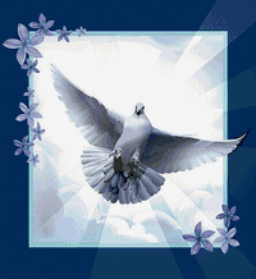 голубь - предпросмотр