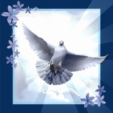 Схема вышивки «голубь»