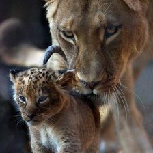 Схема вышивки «Мамина защита. Львы.»