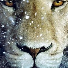 Схема вышивки «Лев и снег»