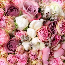 Схема вышивки «№886689»