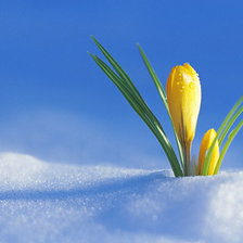 Схема вышивки «весна»