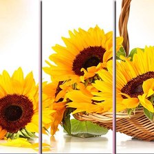 Схема вышивки «Подсолнухи»