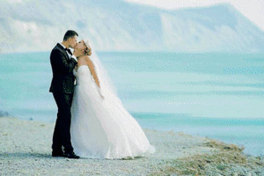 жених и невеста2 - молодожены, свадьба - предпросмотр