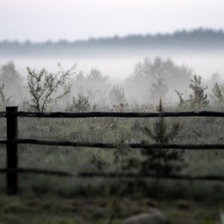 Схема вышивки «Туманное утро.»