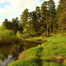 Схема вышивки «сосны у воды»