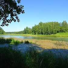 Схема вышивки «Летний пейзаж»