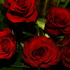 Схема вышивки «алые розы»