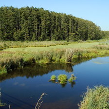 Схема вышивки «речка»