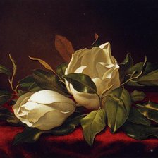 Схема вышивки «Райские цветы»