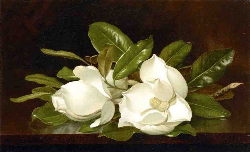 Художник MARTIN JOHNSON HEADE - букет, цветы - оригинал