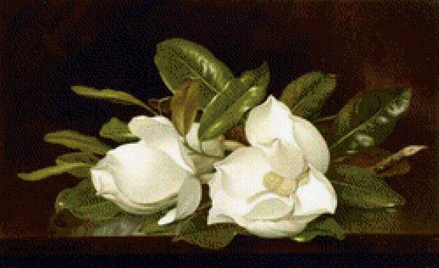 Художник MARTIN JOHNSON HEADE - цветы, букет - предпросмотр