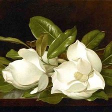 Художник MARTIN JOHNSON HEADE
