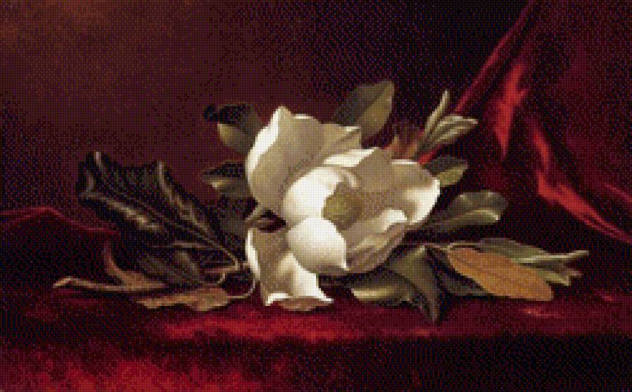 Художник MARTIN JOHNSON HEADE - цветы, букет - предпросмотр