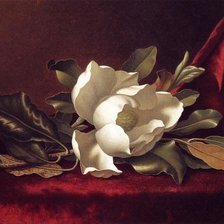 Художник MARTIN JOHNSON HEADE