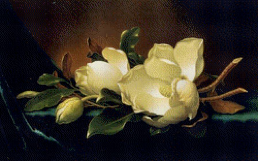Художник MARTIN JOHNSON HEADE - цветы, букет - предпросмотр
