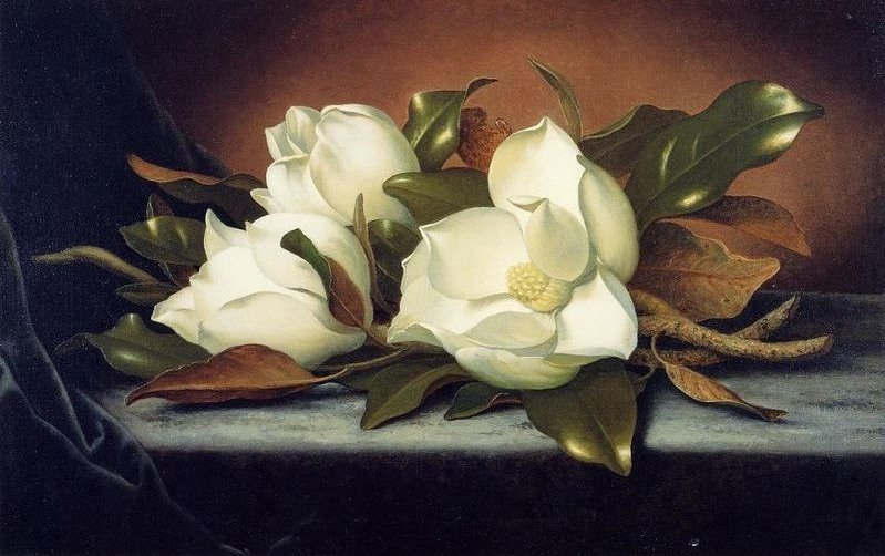 Художник MARTIN JOHNSON HEADE - цветы, букет - оригинал