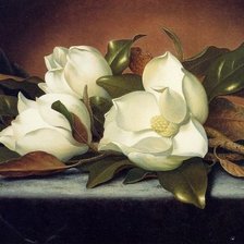 Художник MARTIN JOHNSON HEADE