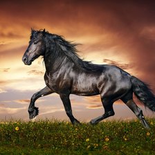 бугущий конь