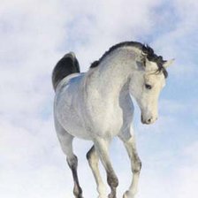 Схема вышивки «конь»