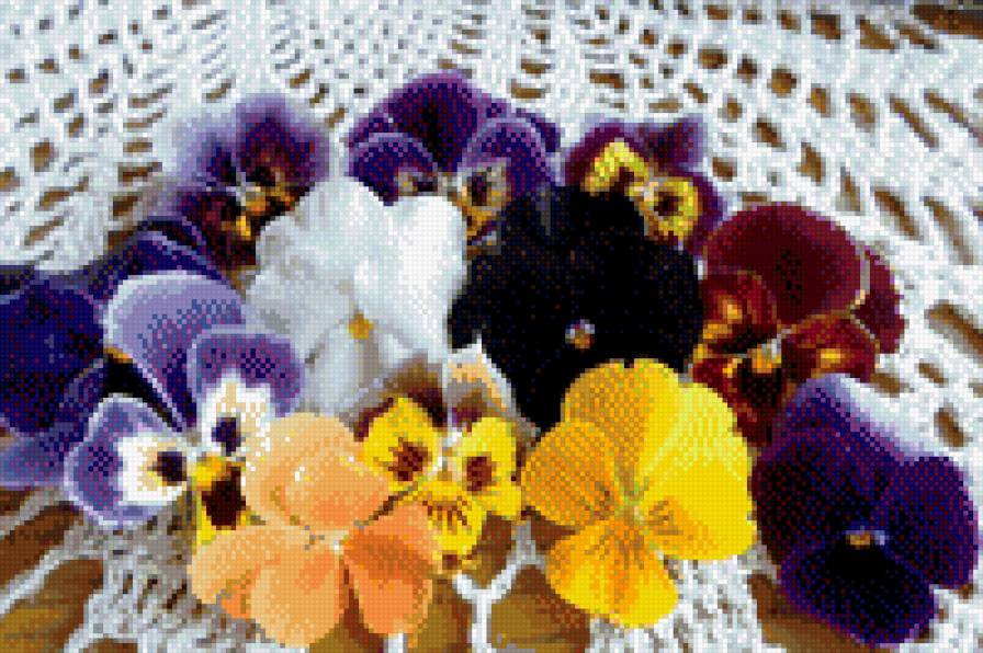 Анютины глазки - анютины глазки, цветы - предпросмотр