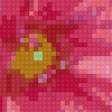 Предпросмотр схемы вышивки «Георгин "Барби"» (№887625)