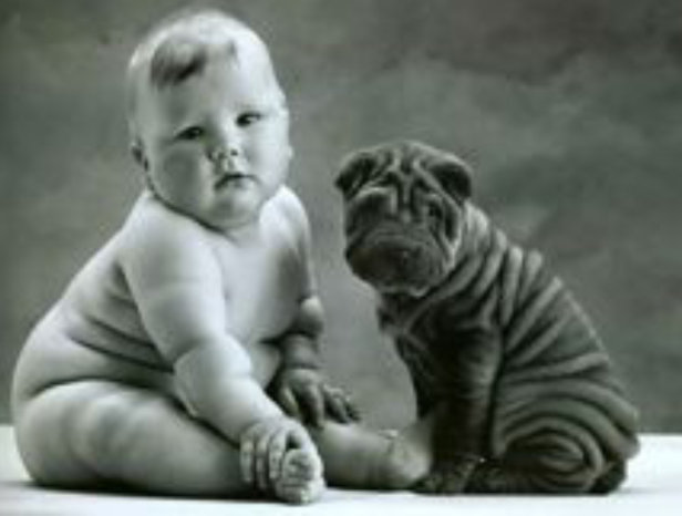 малыш и щенок - шарпей, собака, дети, животные, ребенок, детям - оригинал