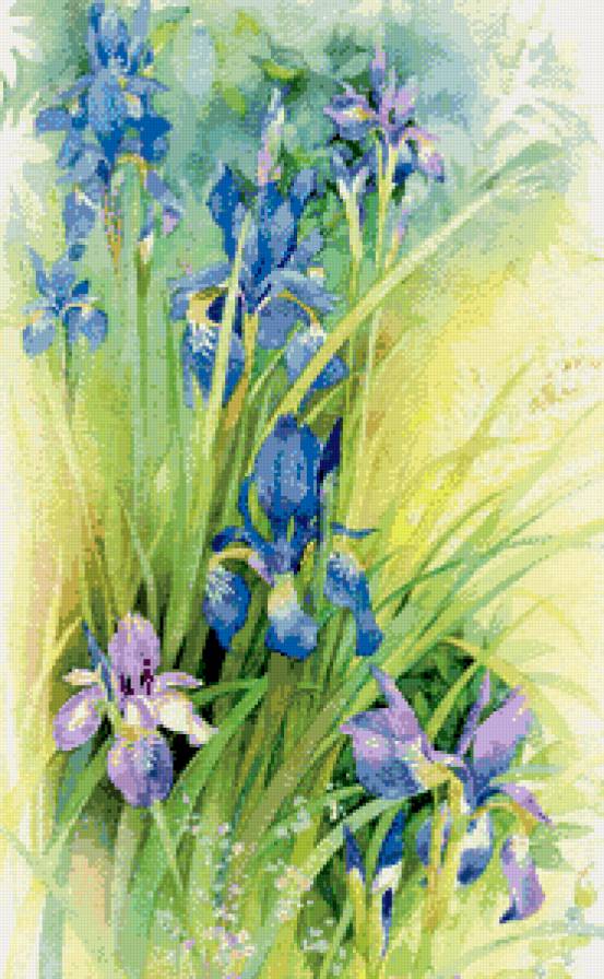 акварельные ирисы - акварель, живопись, ирис, панно, цветы, цветок - предпросмотр