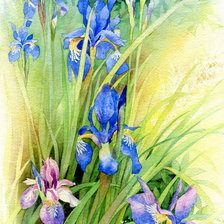 Схема вышивки «акварельные ирисы»