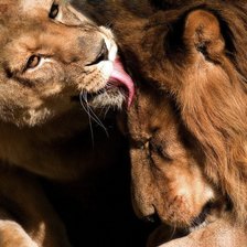 Схема вышивки «5»