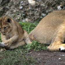 Схема вышивки «6»