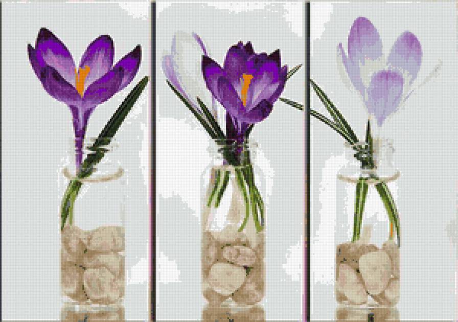 Крокусы - цветы - предпросмотр